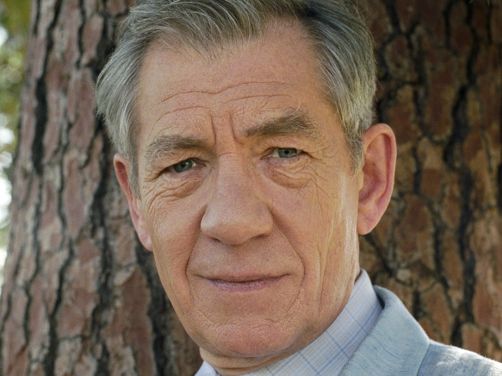 Ian Mckellen