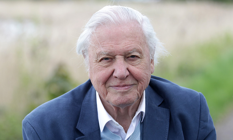 David Attenborough 