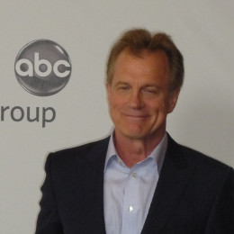 Stephen Collins profile picture
