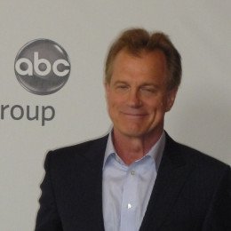 Stephen Collins profile picture