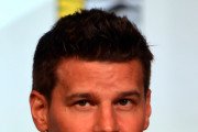 David Boreanaz