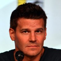 David Boreanaz