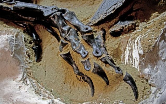 They found a 68 million years old dinosaur-monster