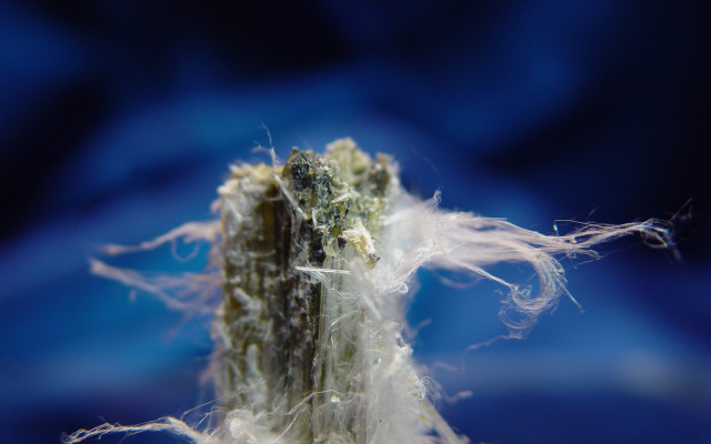 The Best Free Asbestos Testing Kits