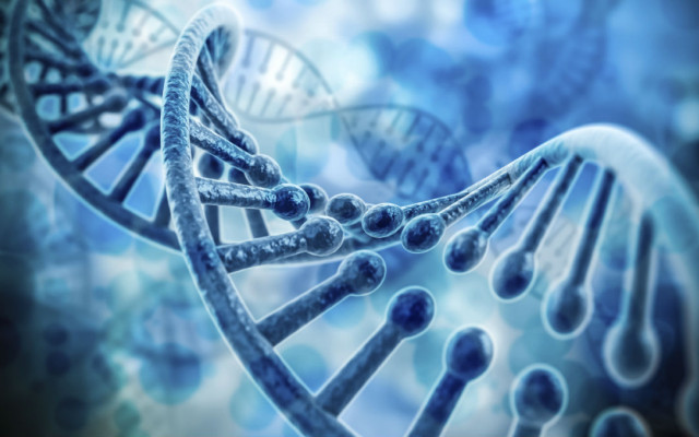 Google and Amazon are buying DNA
