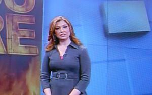 Danielle Banks biography, net worth, married, wedding, weather, children