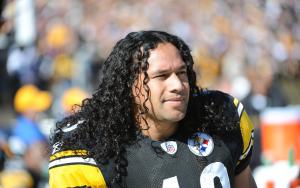 Troy Polamalu profile picture
