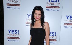 Pauley Perrette profile picture