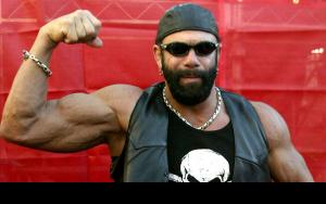 Randy Savage profile picture