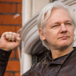 Julian Assange profile picture