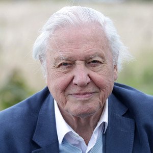 David Attenborough 