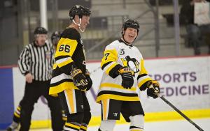 Mario Lemieux profile picture