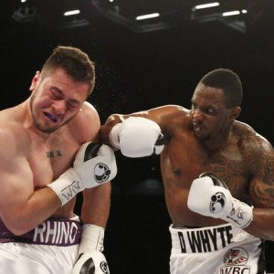 Dillian Whyte BoxRec