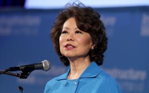 Elaine Chao profile picture