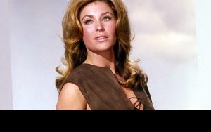 Michele Carey age, height, married, dating, family, weight • biography