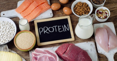 Proteins
