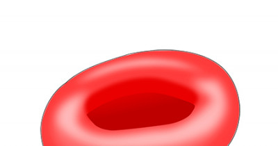 Erythrocytes