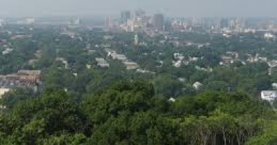 Temperate forests 