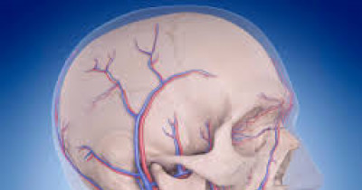 Blood supply of brain 